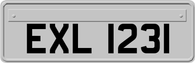 EXL1231
