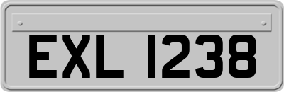 EXL1238