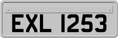 EXL1253