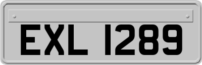 EXL1289