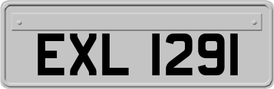 EXL1291