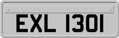 EXL1301