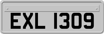EXL1309