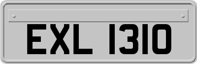 EXL1310