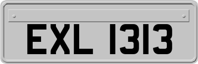 EXL1313