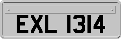 EXL1314