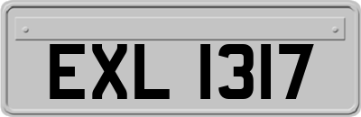 EXL1317