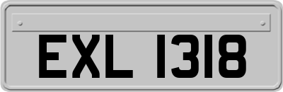EXL1318