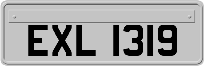 EXL1319