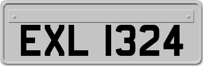 EXL1324