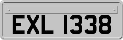 EXL1338