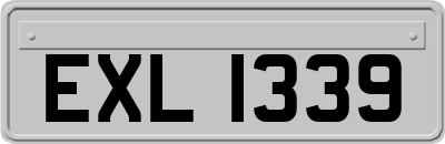 EXL1339