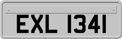 EXL1341