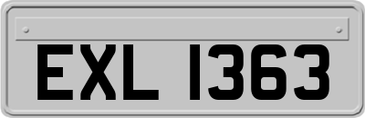 EXL1363