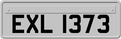 EXL1373