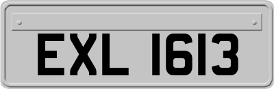 EXL1613