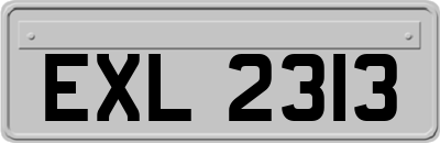 EXL2313
