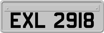 EXL2918