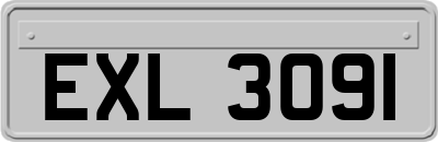 EXL3091