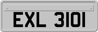 EXL3101