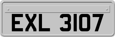 EXL3107