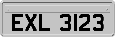 EXL3123