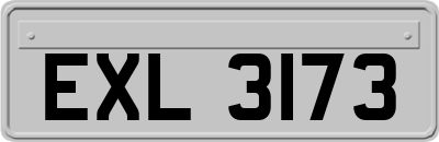 EXL3173