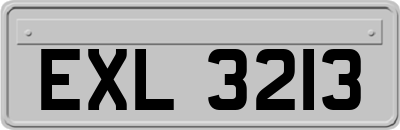 EXL3213