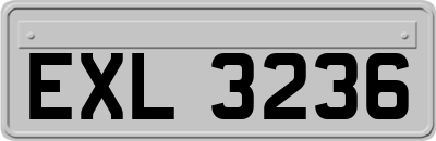 EXL3236