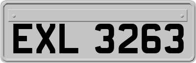 EXL3263