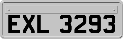 EXL3293