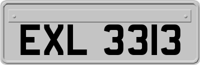 EXL3313