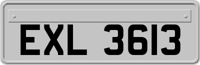 EXL3613