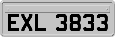 EXL3833