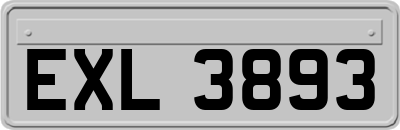 EXL3893