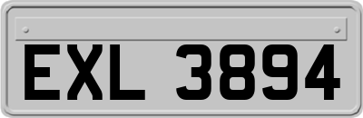 EXL3894