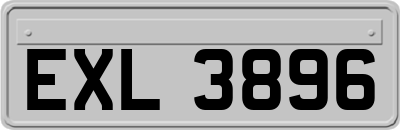 EXL3896