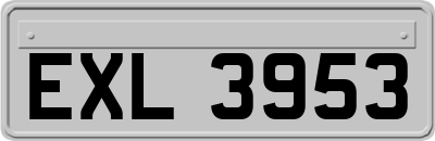 EXL3953