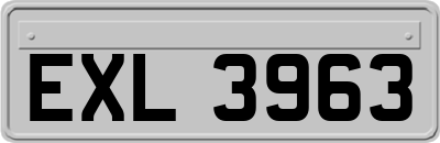 EXL3963