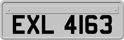 EXL4163