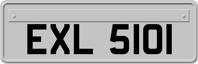 EXL5101