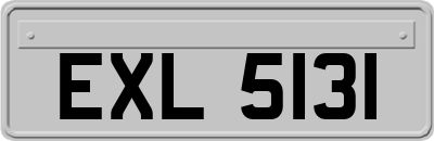 EXL5131
