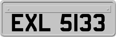EXL5133
