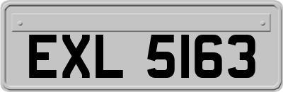 EXL5163
