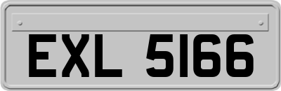 EXL5166