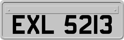 EXL5213
