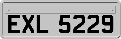 EXL5229