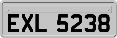 EXL5238