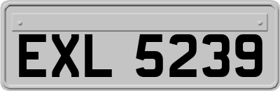 EXL5239
