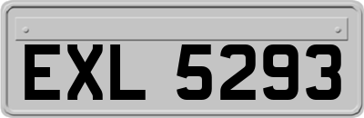 EXL5293